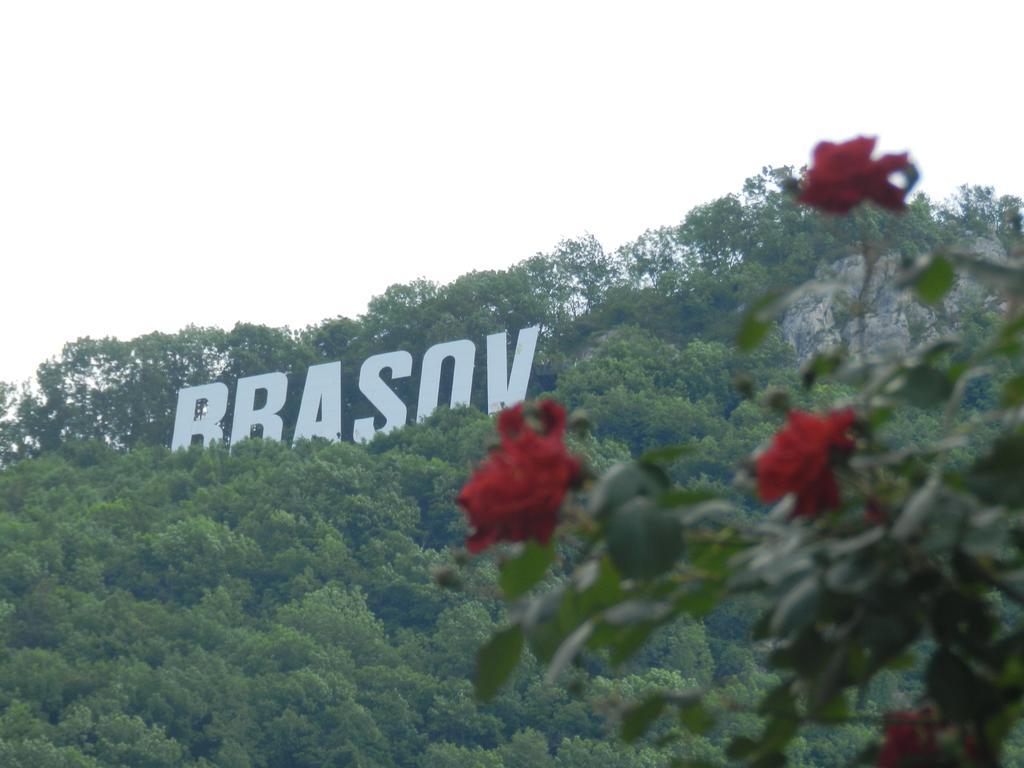 La Vita E Bella Hotel Braşov Exterior foto